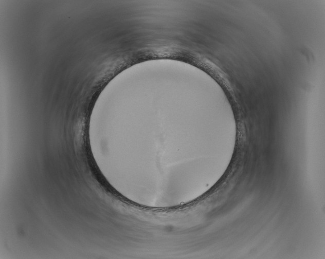 X0000111220018200907301235
