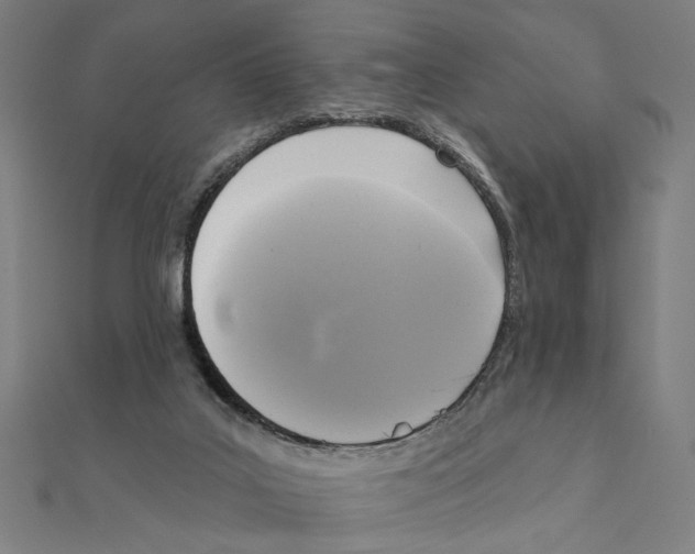 X0000111220019200907301235