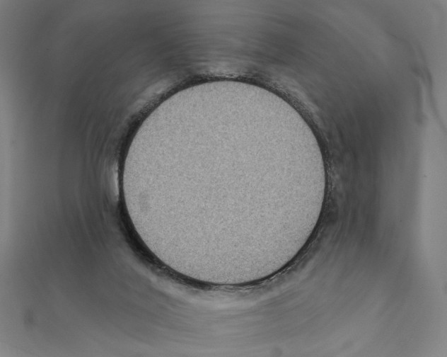 X0000111220020200907301235
