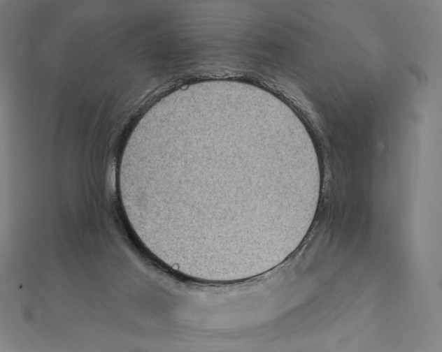 X0000111220021200907301235