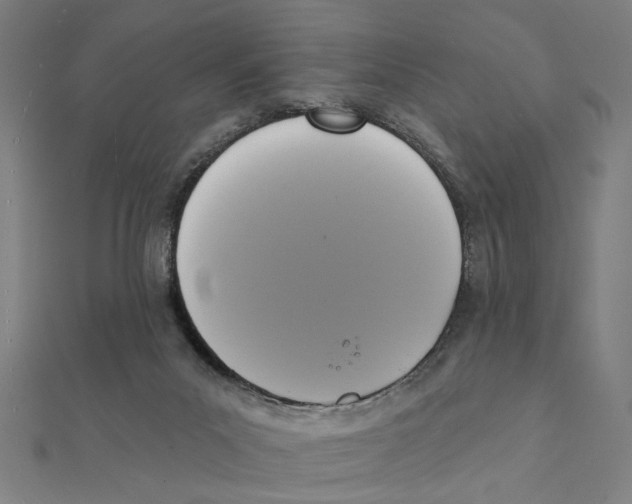 X0000111220023200907301235
