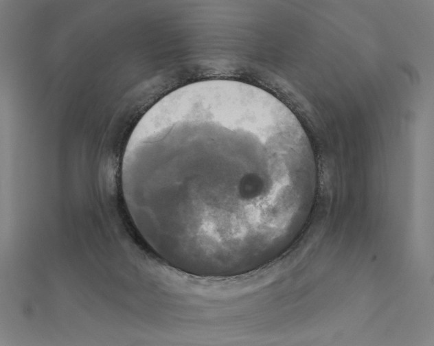 X0000111220026200907301235