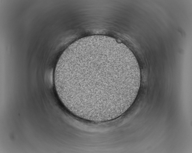 X0000111220028200907301235
