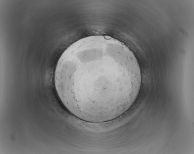 X0000111220030200907301235