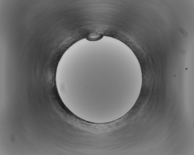X0000111220031200907301235