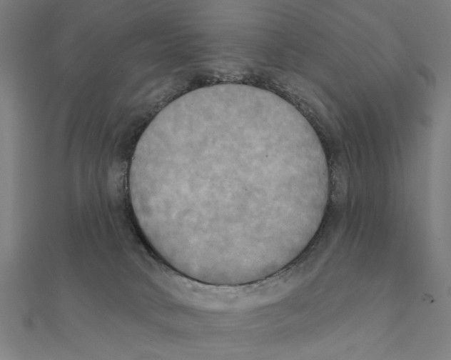 X0000111220034200907301235