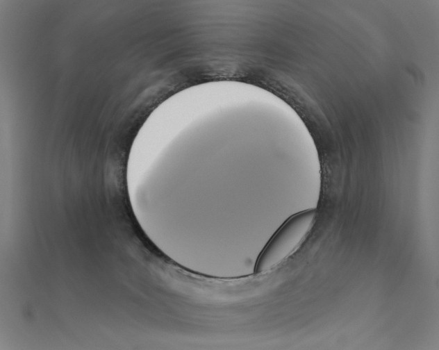 X0000111220035200907301235