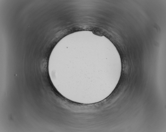 X0000111220036200907301235