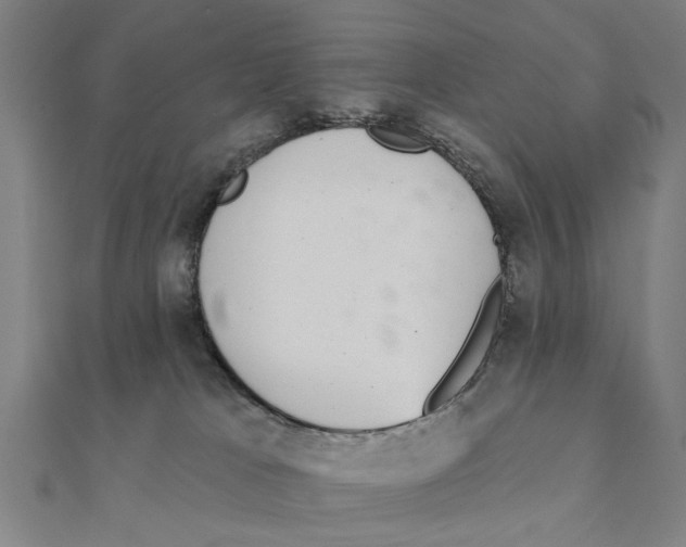 X0000111220037200907301235
