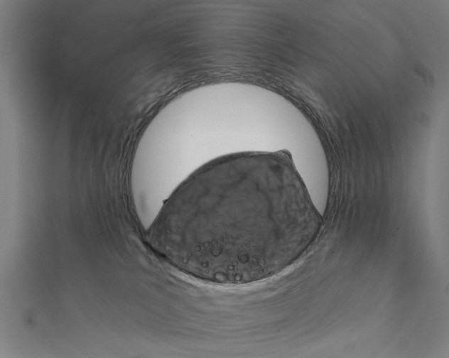 X0000111220039200907301235