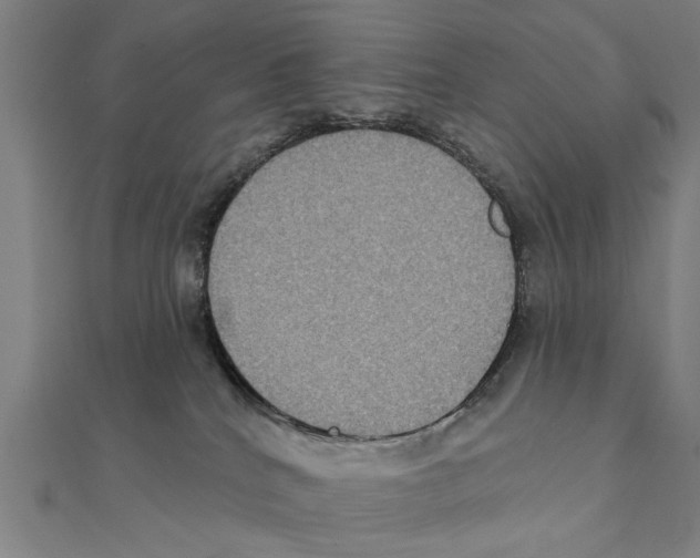 X0000111220040200907301235