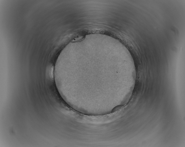 X0000111220041200907301235