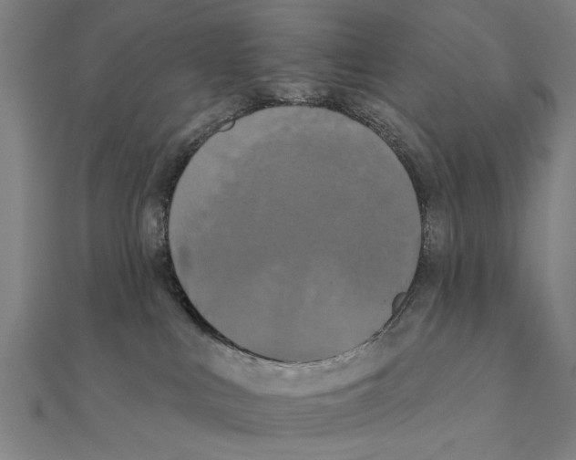 X0000111220043200907301235