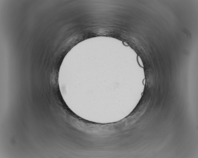 X0000111220044200907301235