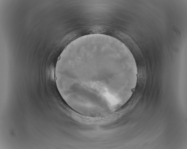 X0000111220046200907301235