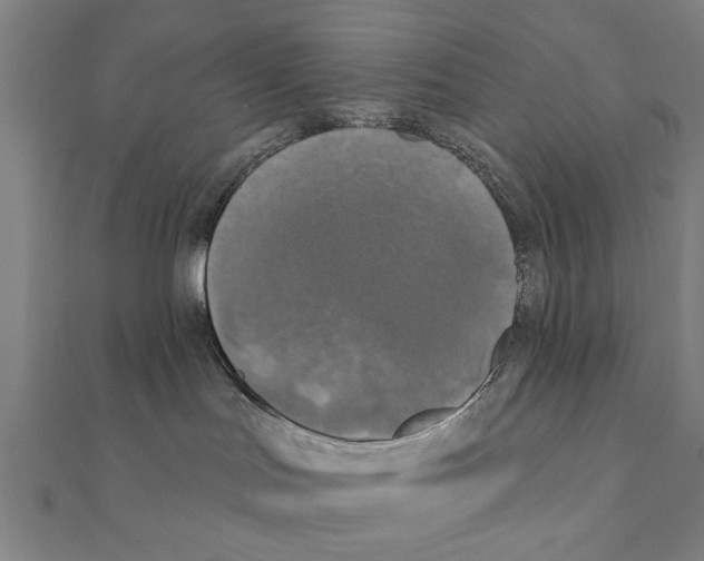 X0000111220047200907301235