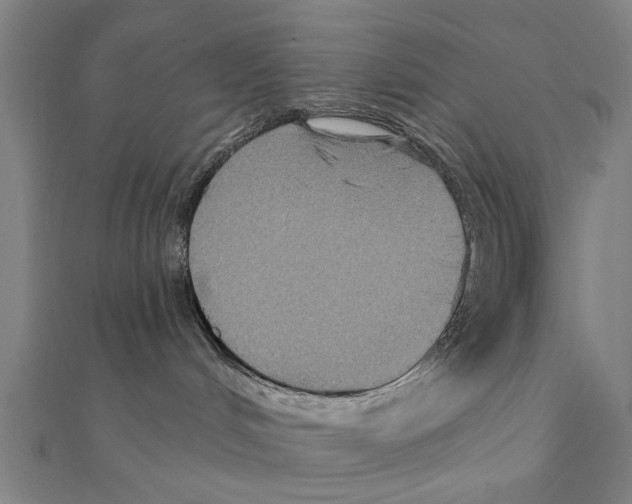 X0000111220048200907301235