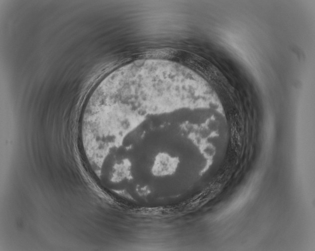 X0000111220049200907301234