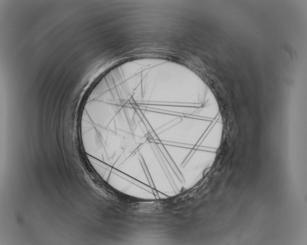 X0000111220050200907301234