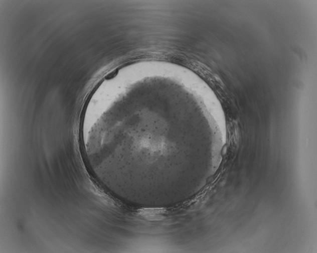X0000111220051200907301234