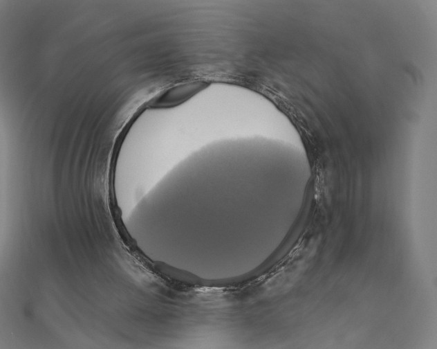 X0000111220052200907301234