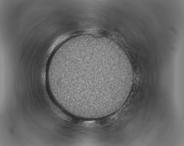 X0000111220054200907301234