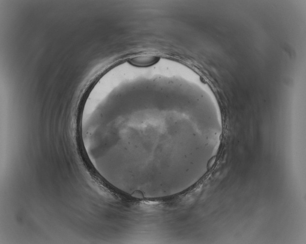 X0000111220055200907301234