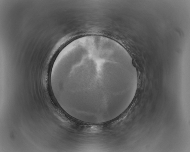 X0000111220056200907301234
