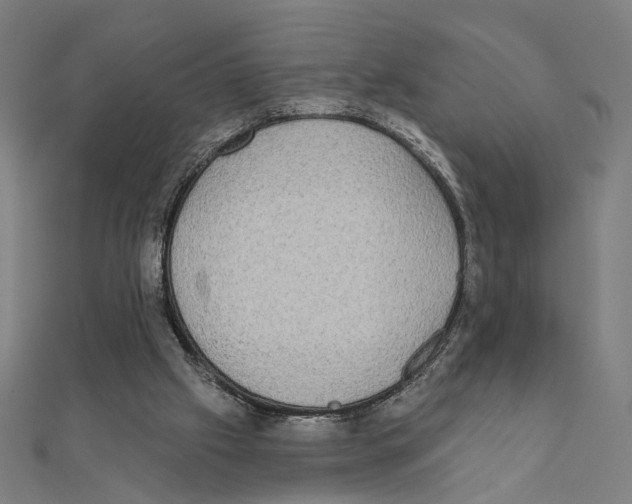 X0000111220057200907301234