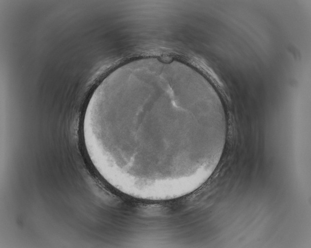 X0000111220058200907301234