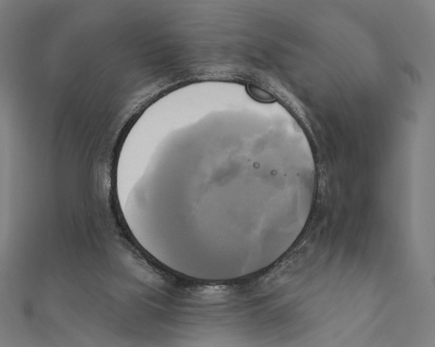 X0000111220059200907301234