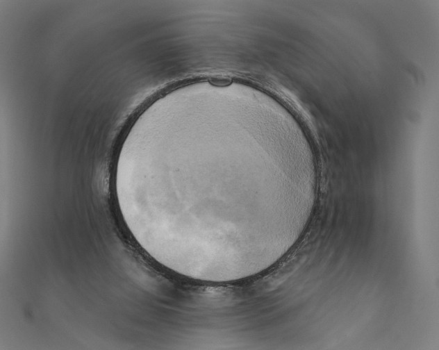 X0000111220060200907301234