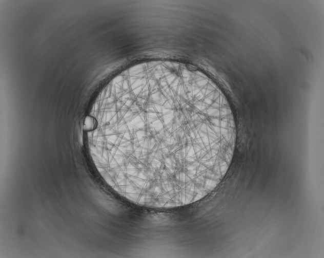 X0000111220062200907301234