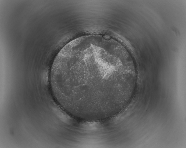X0000111220065200907301234