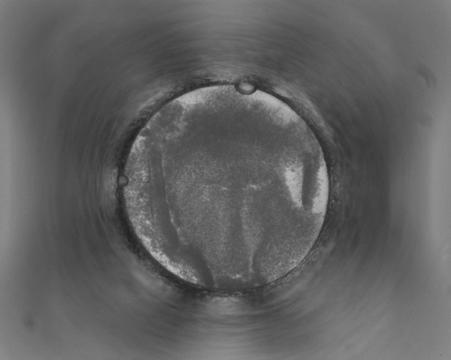 X0000111220066200907301234