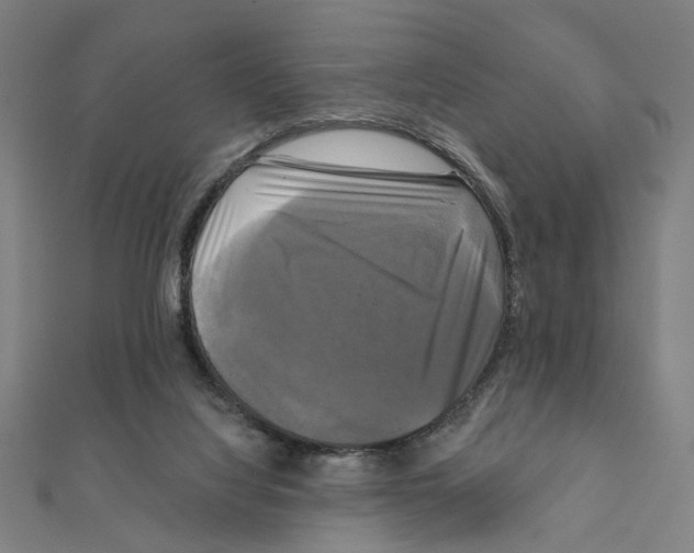 X0000111220068200907301234
