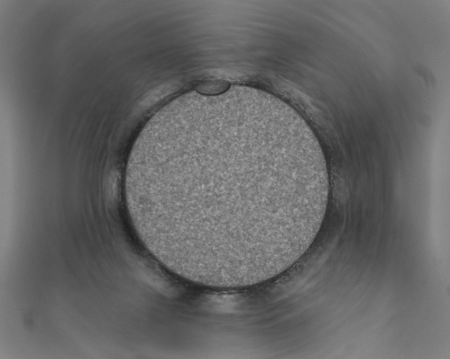 X0000111220071200907301234