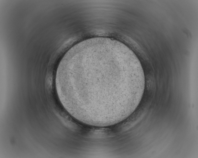 X0000111220072200907301234