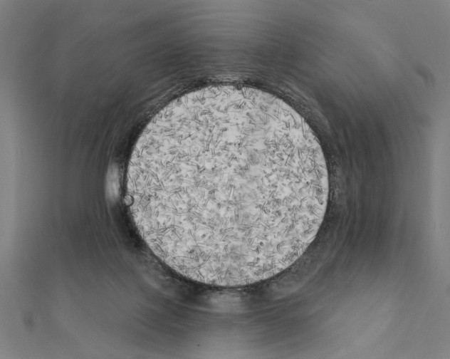 X0000111220075200907301234