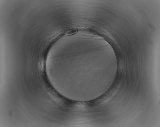 X0000111220076200907301234