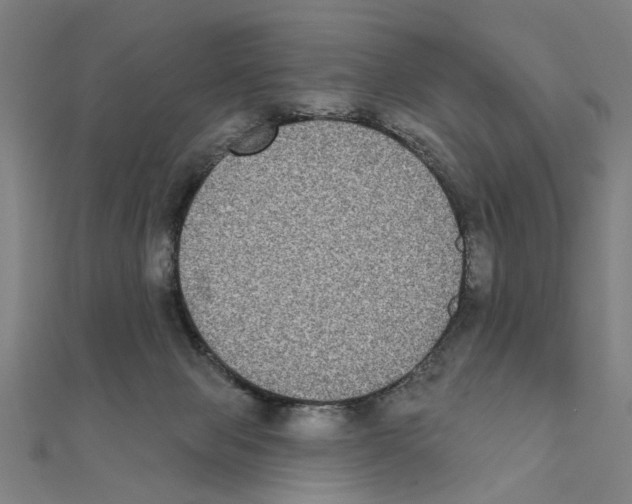 X0000111220077200907301234
