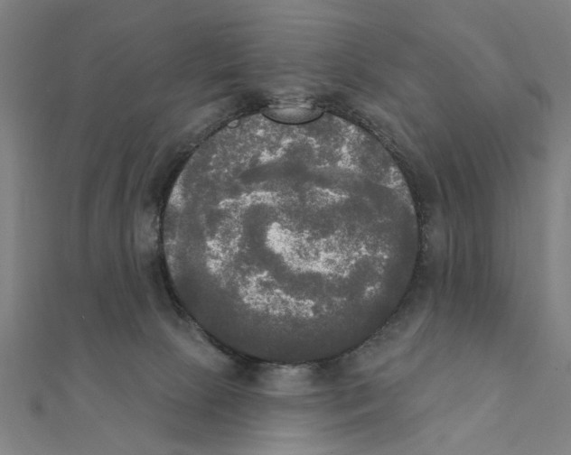 X0000111220081200907301234