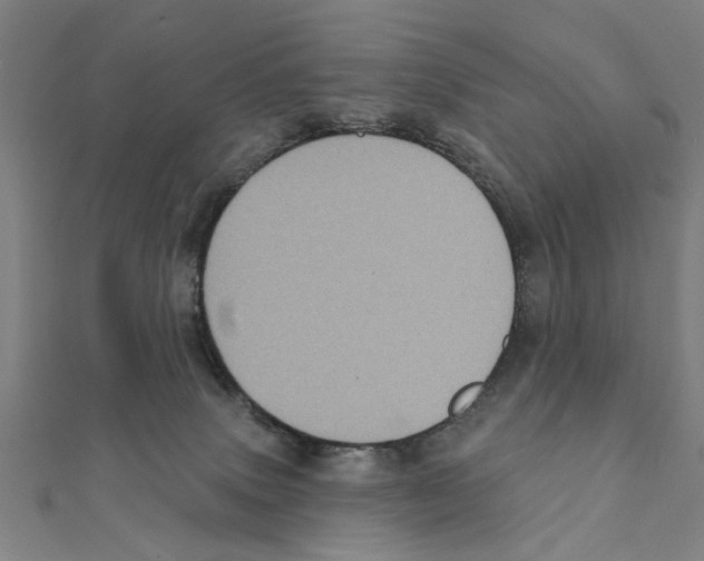 X0000111220083200907301234