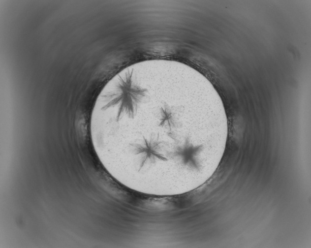 X0000111220086200907301234