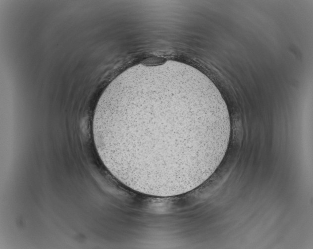 X0000111220088200907301234