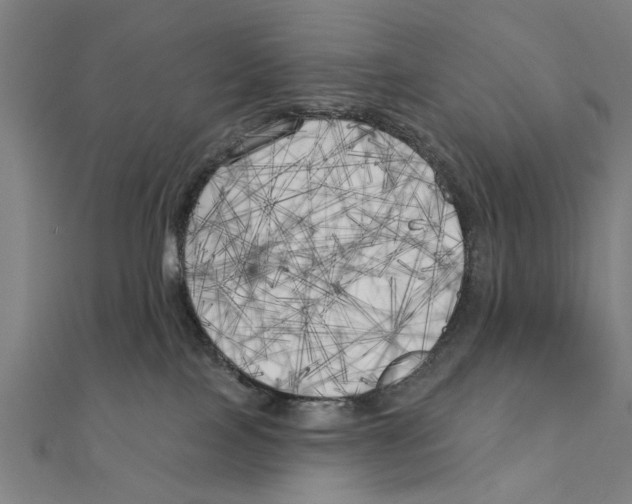 X0000111220089200907301234