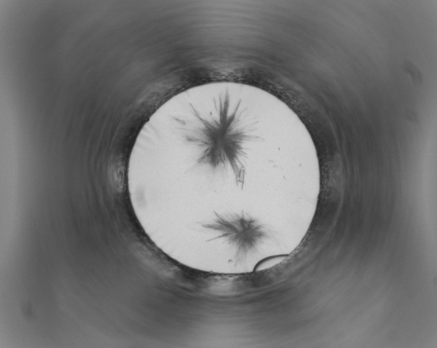 X0000111220090200907301235