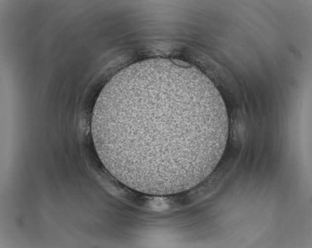 X0000111220091200907301235