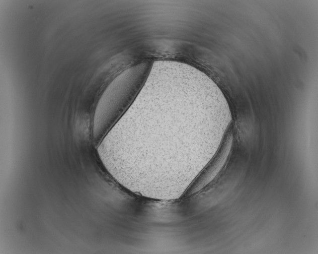 X0000111220092200907301235