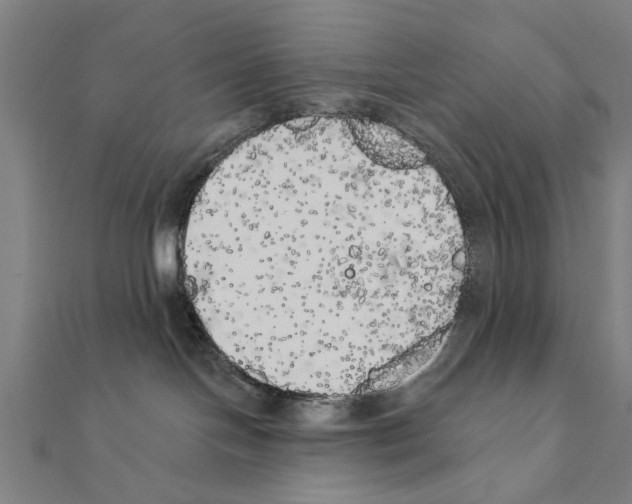 X0000111220094200907301235